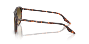 Original Ray-Ban RB2203 Bügel, Farbe 1429 · Havanna rot tortoiseshell