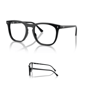 Original Ray Ban 2210V Ersatzbügel