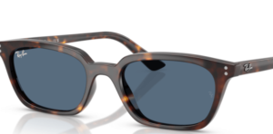 Originalgläser Ray-Ban RB4456 Zaya, Farbe 80 · Blau · Kunststoff