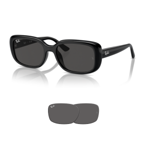 Original Ray Ban 4421D Ersatzgläser
