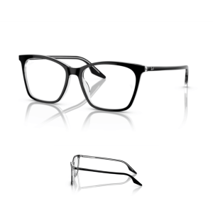 Original Ray Ban 5422 Ersatzbügel