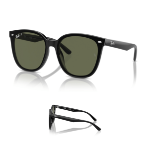 Original Ray-Ban 4423D Ersatzbügel