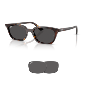 Original Ray-Ban 4456 ZAYA Ersatzgläser
