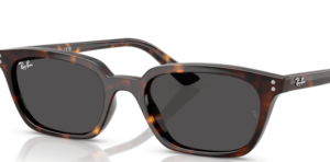 Originalgläser Ray-Ban RB4456 Zaya, Farbe 87 · Grau dunkel · Kunststoff