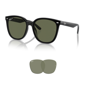 Original Ray Ban 4423D Ersatzgläser