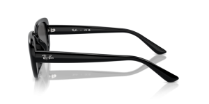 Original Ray-Ban RB4421D Bügel, Farbe 6677 · Schwarz