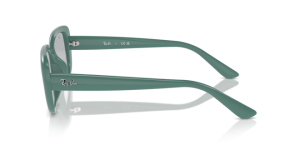 Original Ray-Ban RB4421D Bügel, Farbe 6762 · Algae grün