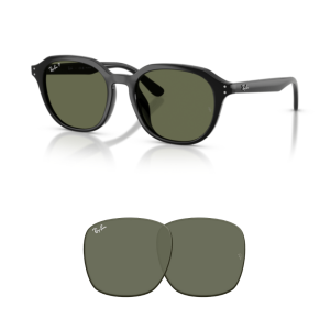 Original Ray Ban 4459D Ersatzgläser