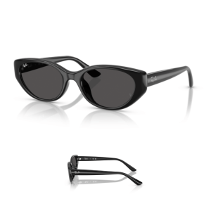 Original Ray-Ban 4457D Ersatzbügel