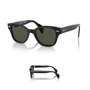 Original Ray-Ban 0880S Ersatzbügel