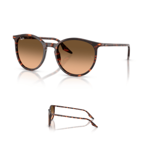 Original Ray-Ban 2204 Ersatzbügel