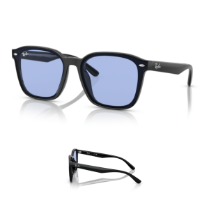 Original Ray-Ban 4392D Ersatzbügel