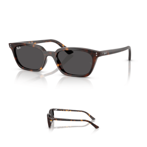 Original Ray-Ban 4456 ZAYA Ersatzbügel