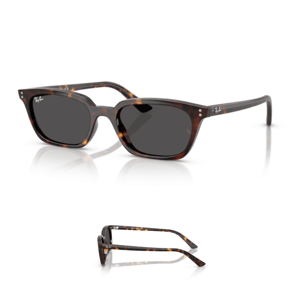 Original Ray-Ban 4456 ZAYA Ersatzbügel