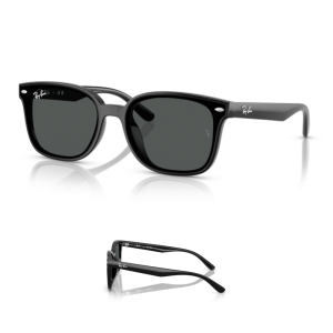 Original Ray-Ban 4461D Ersatzbügel