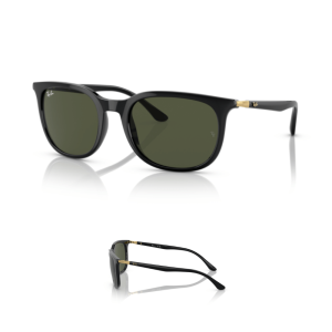 Original Ray-Ban 4386 Ersatzbügel