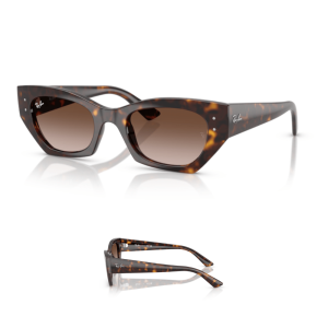 Original Ray-Ban 4430 ZENA Ersatzbügel