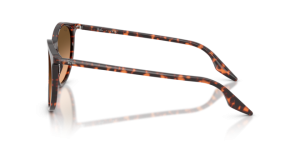 Original Ray-Ban RB2204 Phantos Bügel, Farbe 1429 · Havanna rot tortoiseshell
