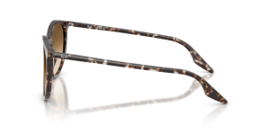 Original Ray-Ban RB2204 Phantos Bügel, Farbe 1431 · Havanna gelb tortoiseshell