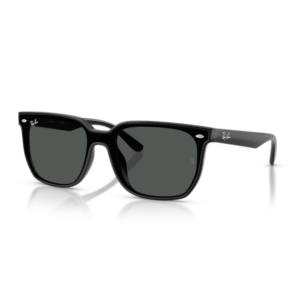 Ray-Ban 4466D