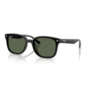 Ray-Ban 4461D