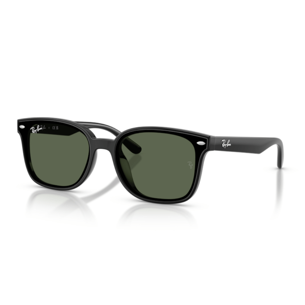 Ray-Ban 4461D