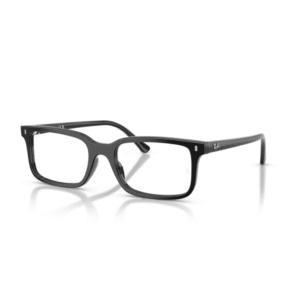 Ray-Ban RX5446