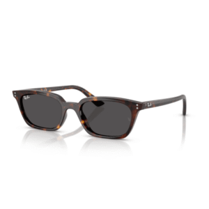 Ray-Ban 4456 ZAYA