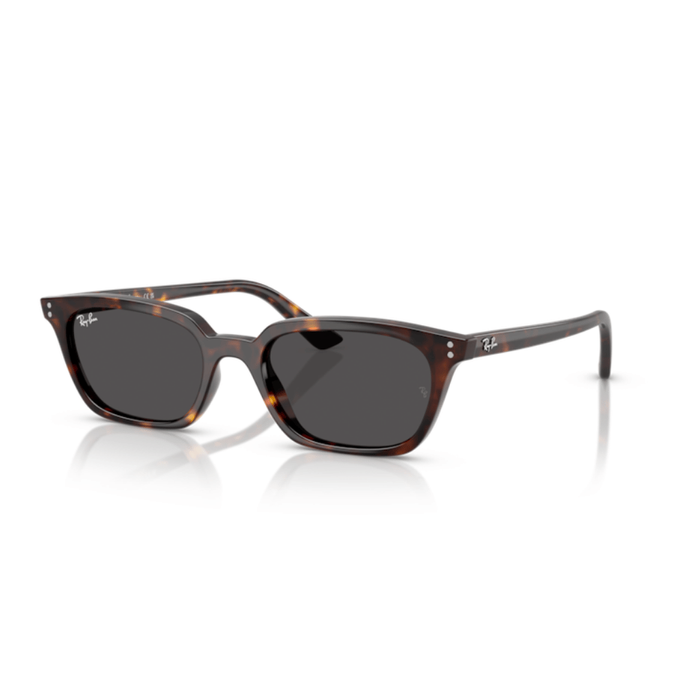 Ray-Ban 4456 ZAYA