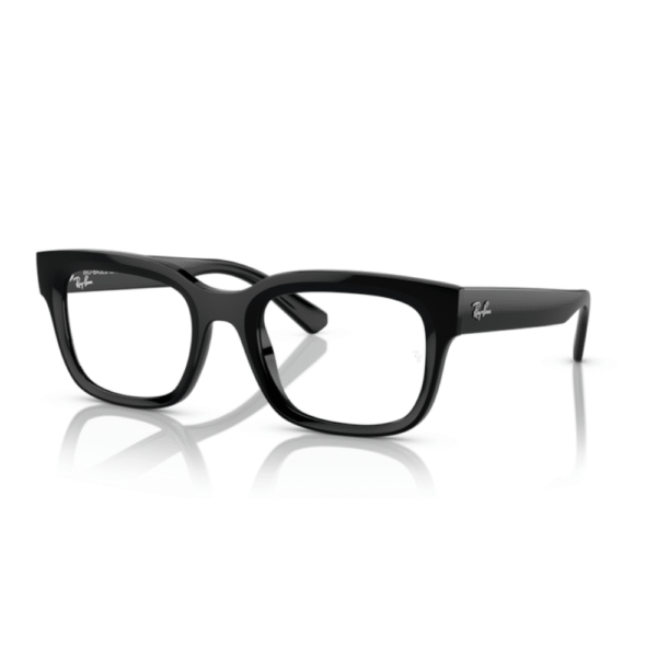 Ray-Ban RX7217 CHAD