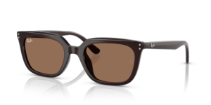 Ray-Ban 4439D, Farbe 623173 · Opal braun