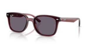 Ray-Ban 4461D, Farbe 659373 · Transparent braun dunkel