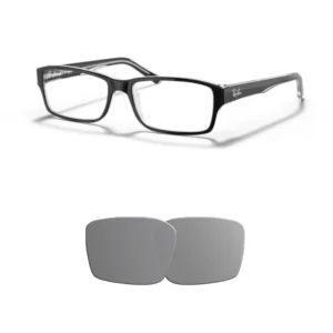 Kompatible Ersatzgläser Ray-Ban 5169